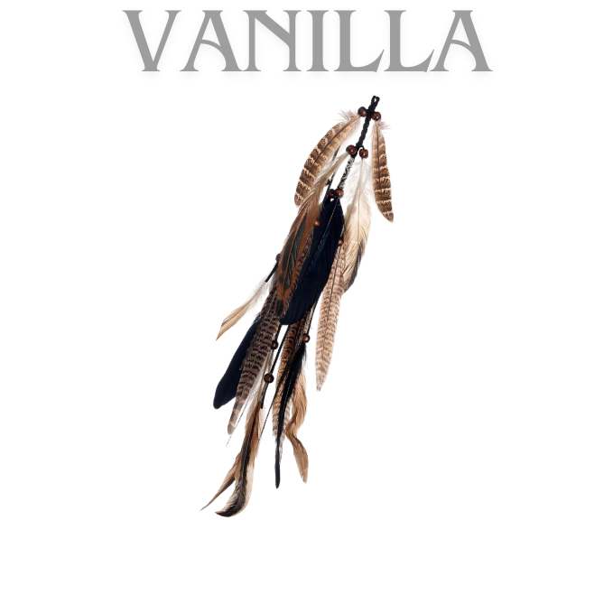 Bohemian Feathers