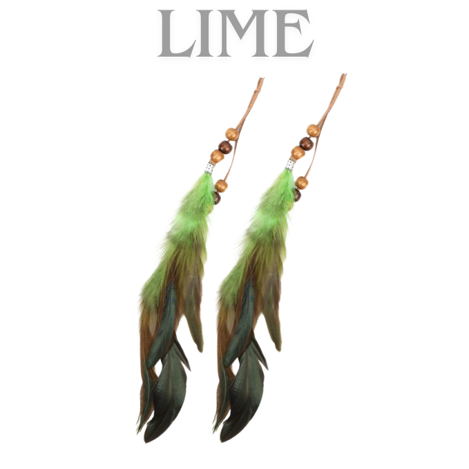 Bohemian Feathers