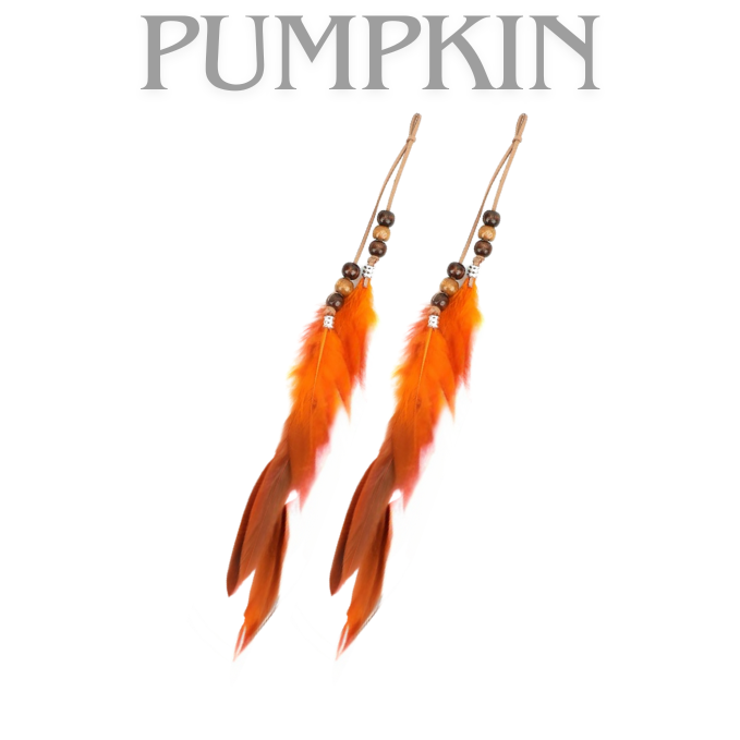 Bohemian Feathers