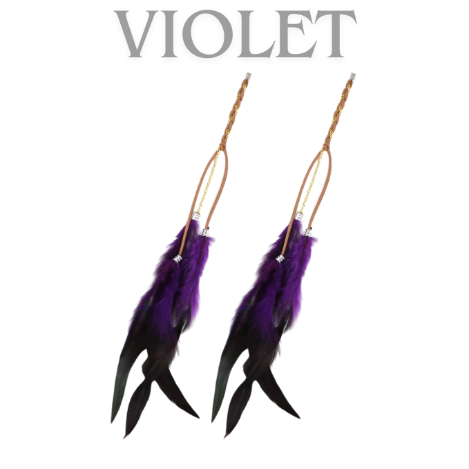 Bohemian Feathers