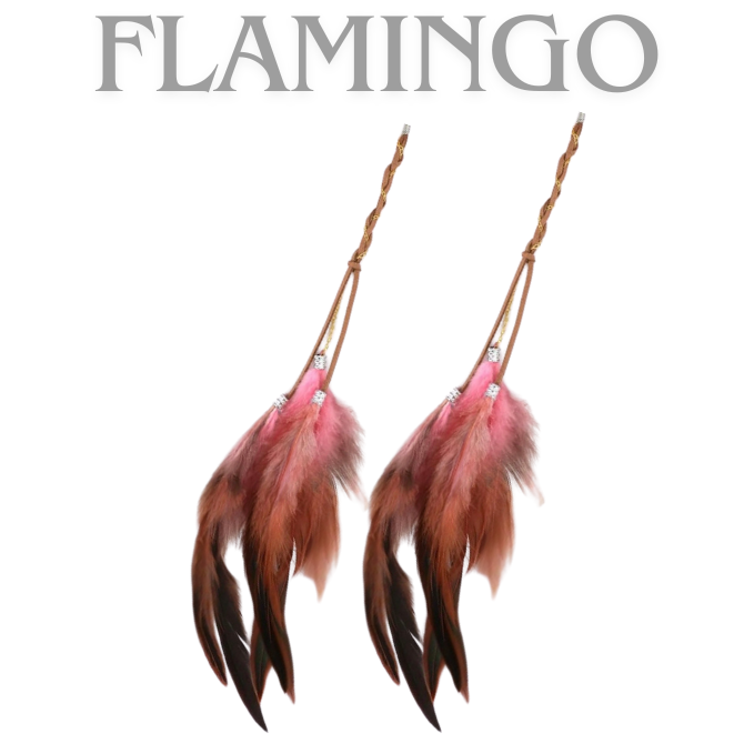 Bohemian Feathers