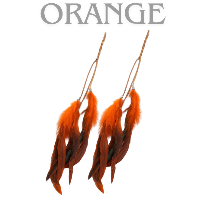 Bohemian Feathers