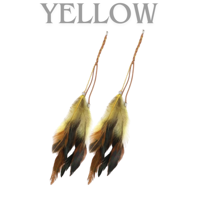 Bohemian Feathers