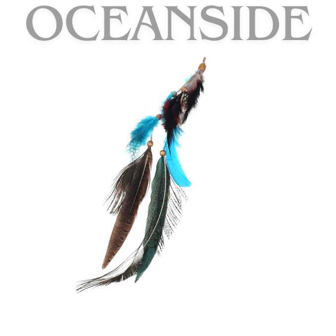 Bohemian Feathers